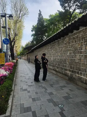 갤러리 사진