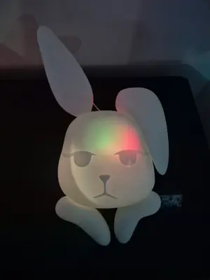 갤러리 사진