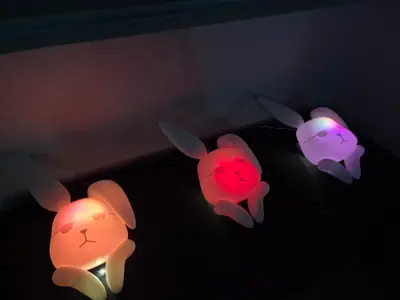 갤러리 사진